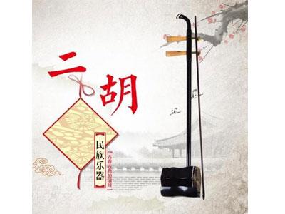 招聘沈阳二胡家教老师